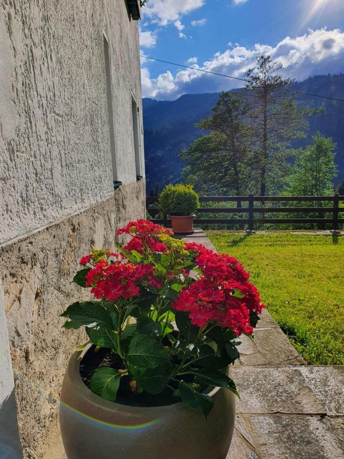 Pension Gut Troegern Bad Eisenkappel Exterior foto