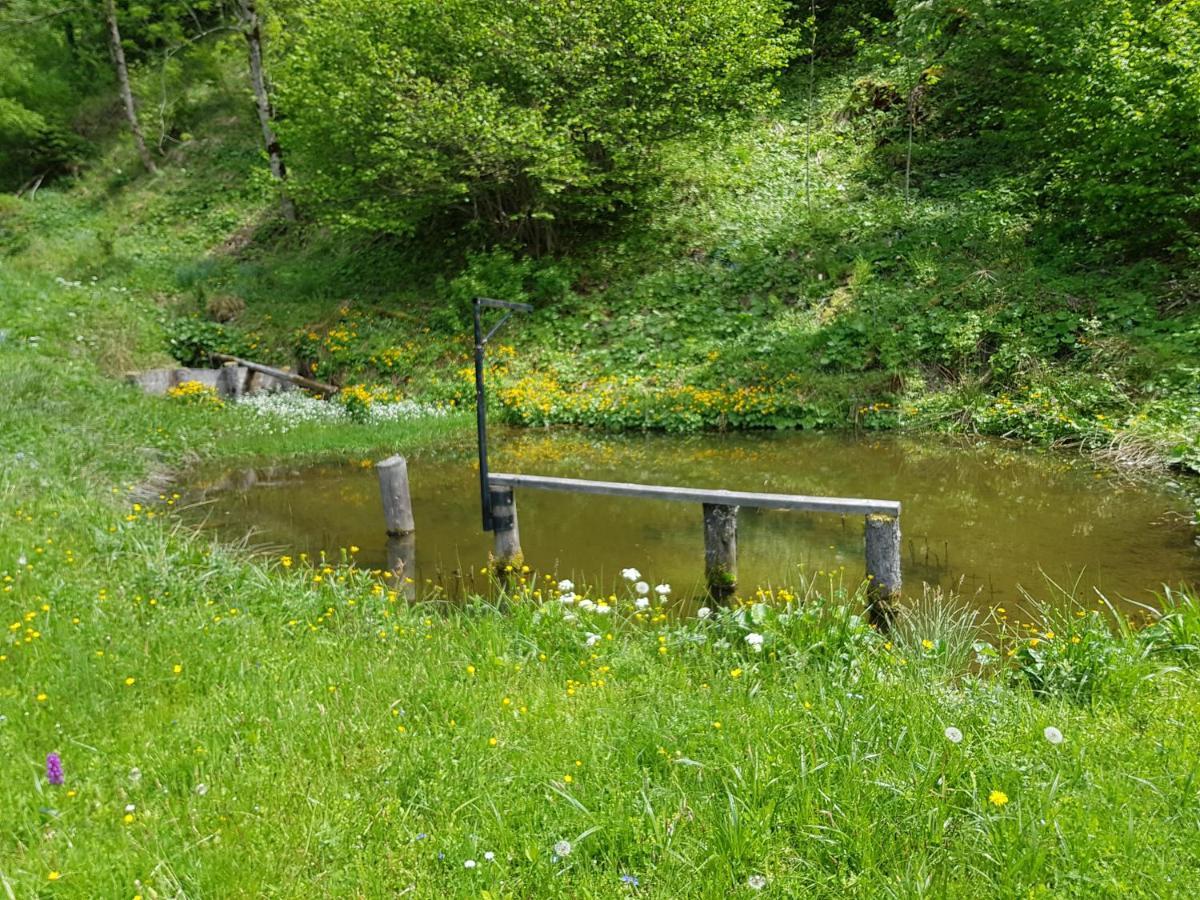 Pension Gut Troegern Bad Eisenkappel Exterior foto